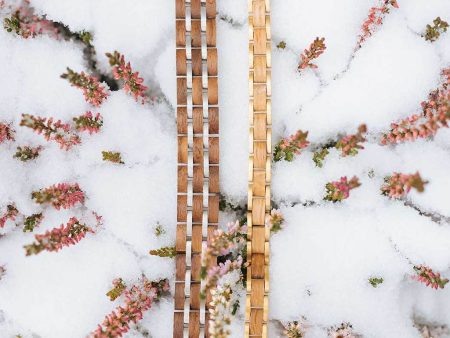 Waidzeit Element Bracelet Women Rosé Sale