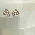 Fizzy Gigs Diamond Stud Earrings Fashion