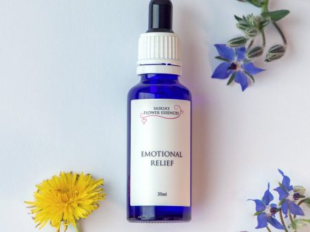 Emotional Relief - for when life is just too much Online Sale