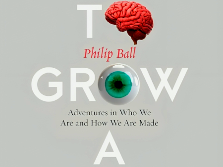 How To Grow A Human: Adventures In Who We Are And How We Are Made on Sale